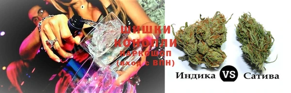 spice Богородск