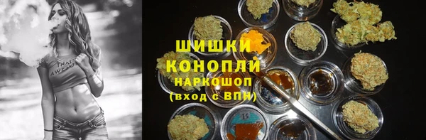 бошки Богданович