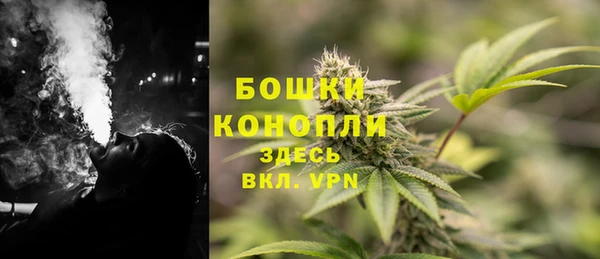 spice Богородск