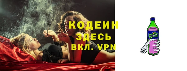 spice Богородск