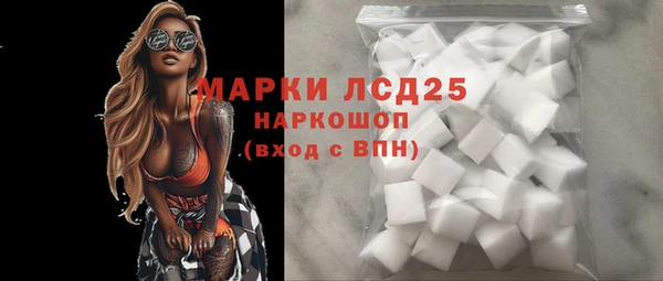 spice Богородск