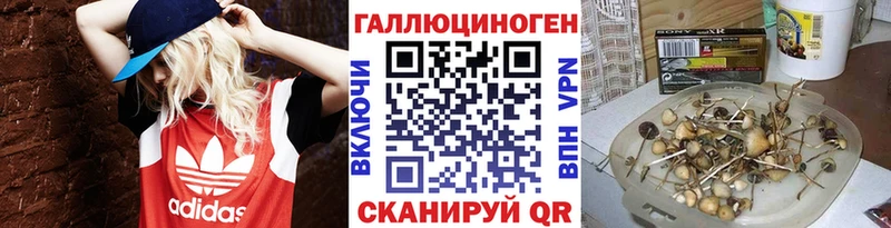 Псилоцибиновые грибы мухоморы  Купить где  Новозыбков 
